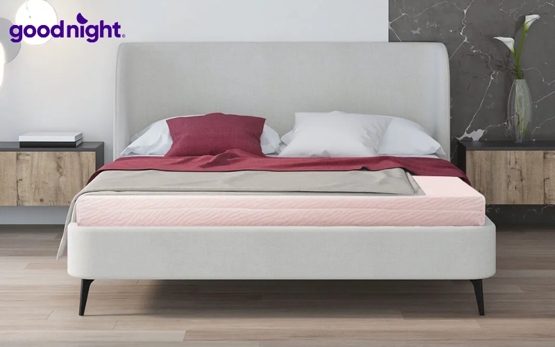 11 mẫu nệm mỏng uy tín, chất lượng, giá tốt 2026 8 Liên Á Classic