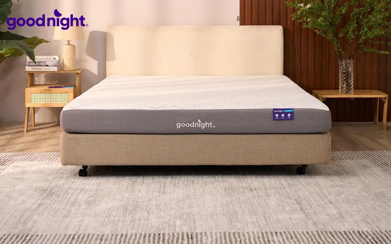 TOP 8 mẫu nệm Nhật Bản chất lượng, uy tín 2026 5 Goodnight Massage 2.0