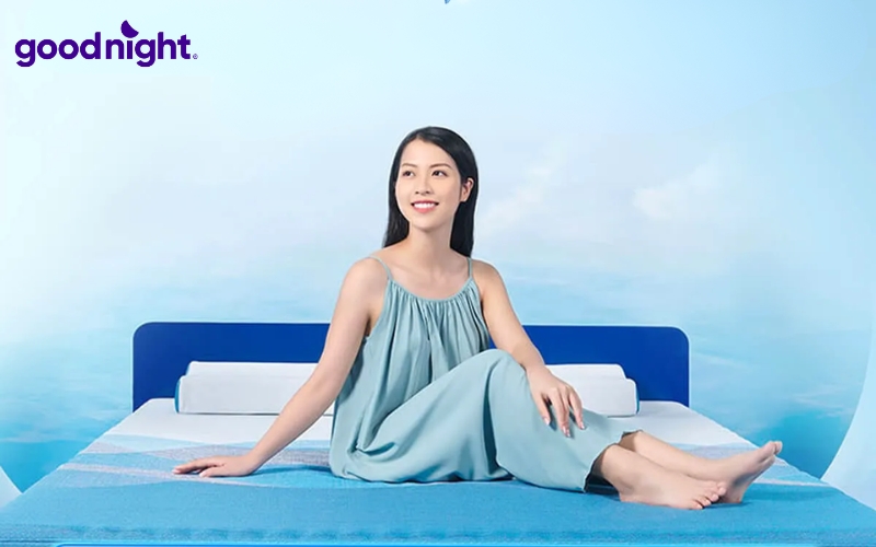 TOP 8 mẫu nệm Nhật Bản chất lượng, uy tín 2026 8 Aeroflow Pride