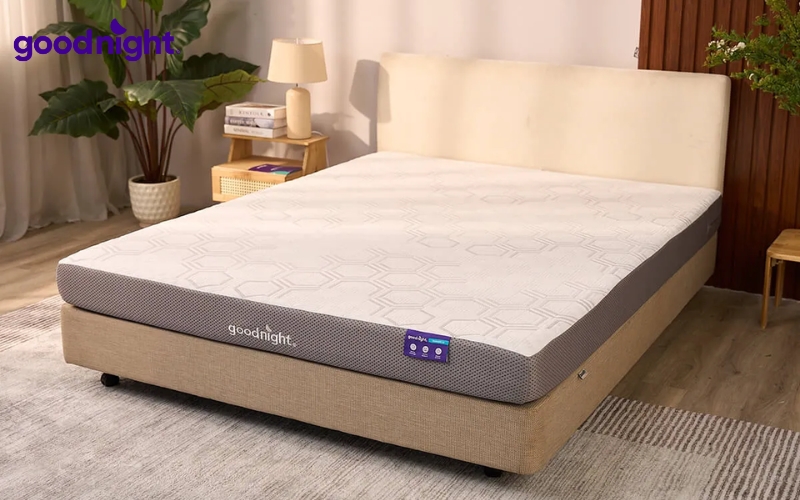 Có nên nằm nệm nước cho trẻ sơ sinh? TOP 7 sản phẩm tốt 10 Nệm lý tưởng có độ dày từ 15 – 25cm, đủ mềm để giảm áp lực lên vai, hông, lưng