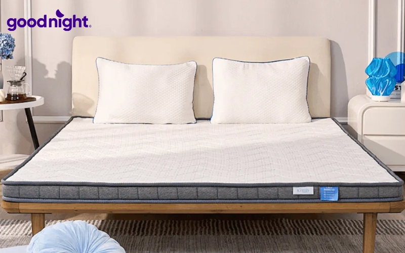 10 mẫu nệm sinh viên bền đẹp cho phòng trọ, kí túc xá 6 iComfy Basic 1.0