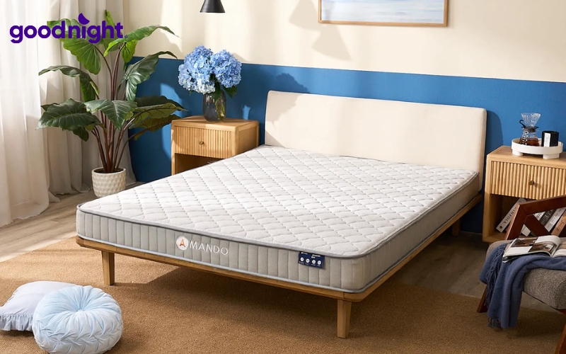 10 mẫu nệm sinh viên bền đẹp cho phòng trọ, kí túc xá 7 Amando Eco