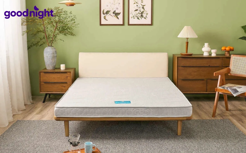 10 mẫu nệm sinh viên bền đẹp cho phòng trọ, kí túc xá 8 Các kích thước phổ biến như 1m x 2m hoặc 1m2 x 2m thường được nhiều sinh viên lựa chọn
