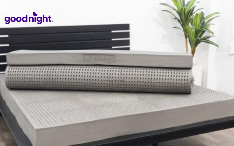 TOP 8 mẫu nệm than hoạt tính chất lượng, giá tốt 2026 5 Nệm cao su than hoạt tính