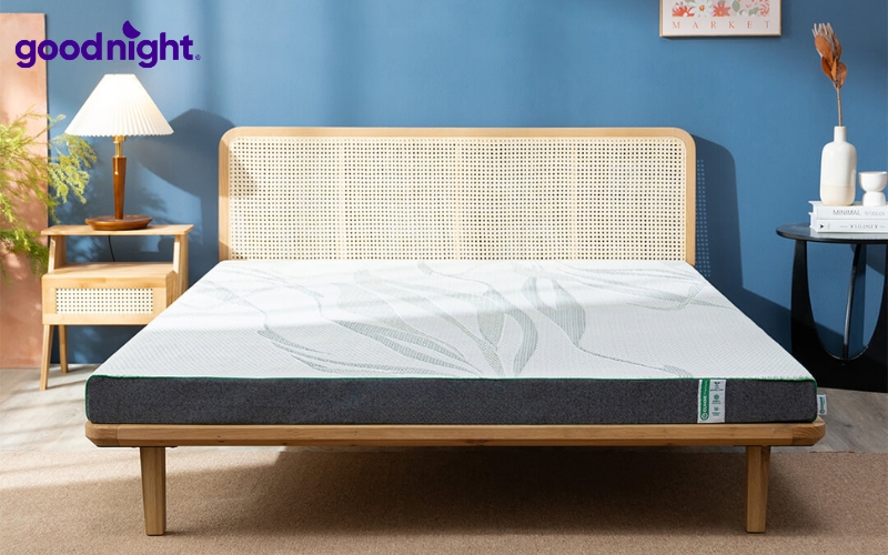 TOP 8 mẫu nệm than hoạt tính chất lượng, giá tốt 2026 7 Gummi Premium