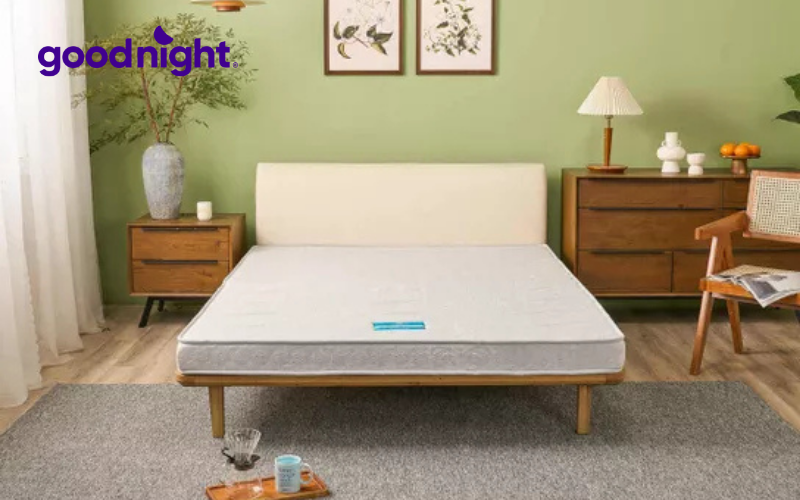 Nệm than hoạt tính là gì? Có nên sử dụng không? 7 Nệm Wonjun Pure Premium