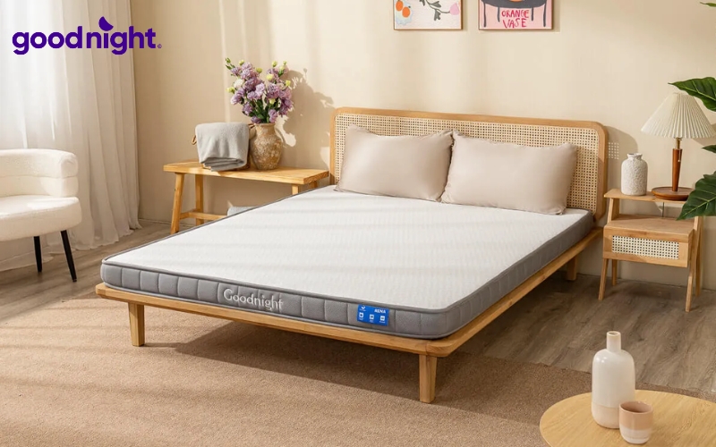 TOP 10 mẫu nệm thoáng khí chất lượng, mát lưng năm 2026 11 Goodnight là một trong những thương hiệu được nhiều khách hàng tin tưởng