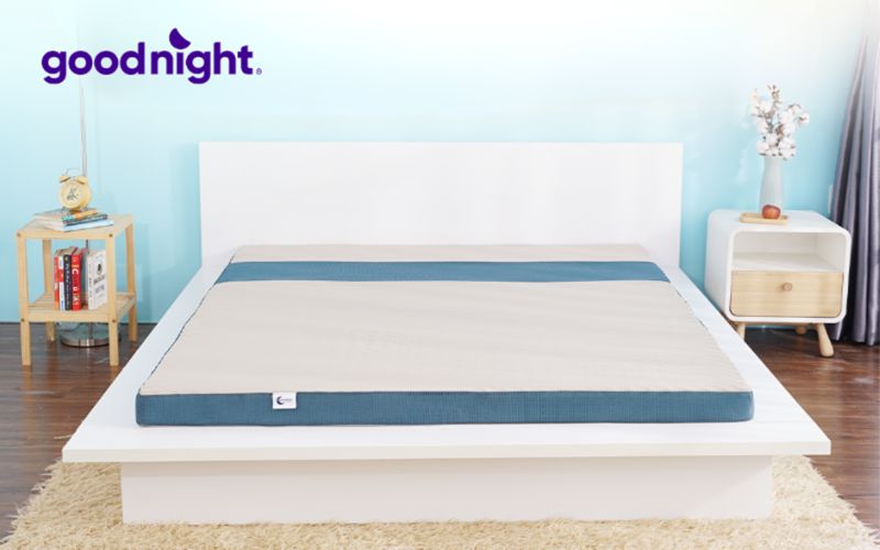 Top 10 mẫu nệm thoáng khí, mát lưng đáng mua năm 2025 9 Nệm Goodnight Massage 1.0
