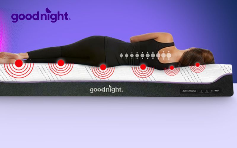 Top 10 mẫu nệm thoáng khí, mát lưng đáng mua năm 2025 10 Goodnight Active Hybrid