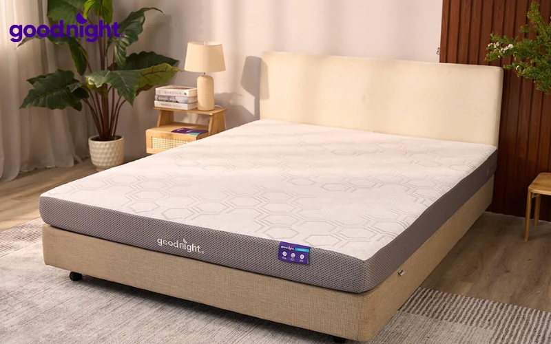 TOP 10 mẫu nệm thoáng khí chất lượng, mát lưng năm 2026 10 Một chiếc nệm có kích thước phù hợp sẽ giúp tối ưu diện tích phòng ngủ và mang lại cảm giác thoải mái