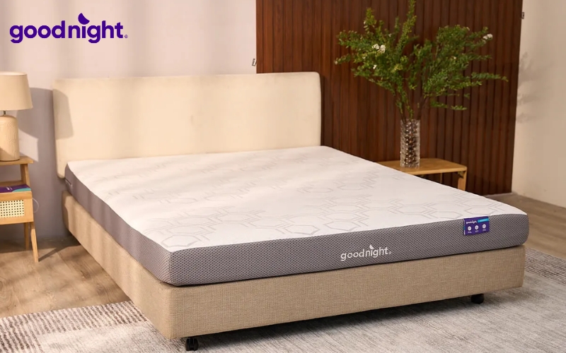 TOP 8+ mẫu nệm trải sàn kiểu Hàn Quốc tối ưu không gian, uy tín 11 Goodnight nổi bật với đa dạng dòng nệm phù hợp phong cách sống tối giản và xu hướng ngủ trải sàn kiểu Hàn Quốc