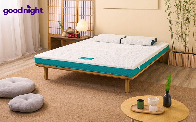 TOP 8 mẫu nệm trải sàn kiểu Nhật uy tín, giá tốt 2026 7 Aeroflow Standard