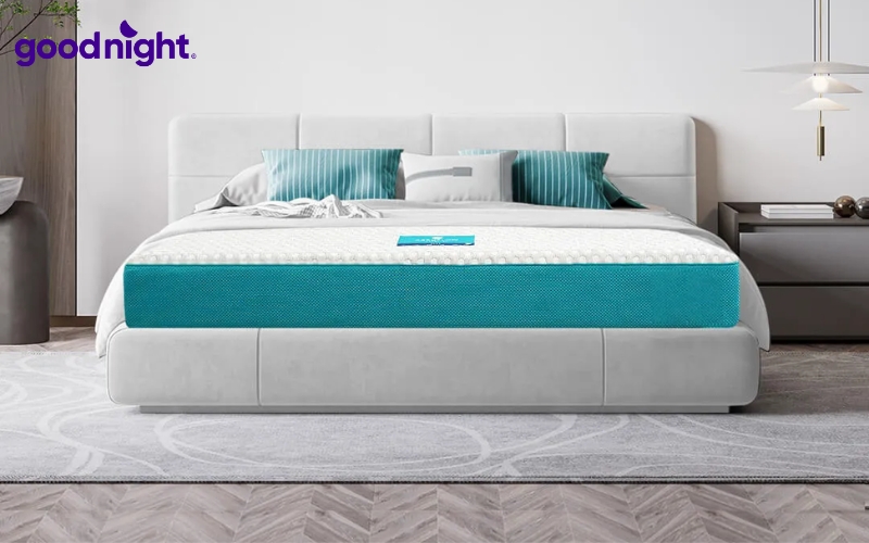 TOP 8 mẫu nệm trải sàn kiểu Nhật uy tín, giá tốt 2026 8 Nệm foam Nhật Bản Aeroflow Fit Plus