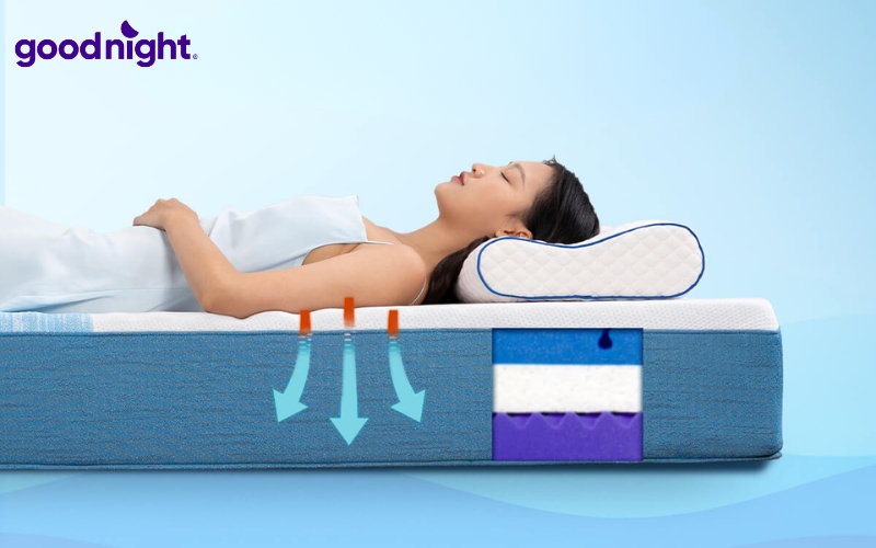 TOP 8 mẫu nệm trải sàn kiểu Nhật uy tín, giá tốt 2026 9 Người bị đau lưng hoặc thích nằm chắc nên ưu tiên nệm có độ cứng trung bình đến cứng vừa