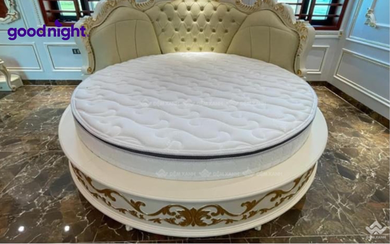 Top 8 mẫu nệm tròn chất lượng được yêu thích nhất hiện nay 6 Đệm tròn Dunlopillo Spine O Master