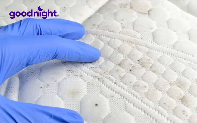 5+ cách phục hồi nệm cao su đơn giản, hiệu quả ngay tại nhà 5 Phục hồi nệm cao su bị đen, mốc bằng baking soda, cồn pha loãng 70%, oxy già hoặc nước cốt chanh