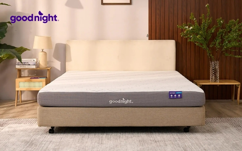 Pu Foam là gì? Đặc điểm và ứng dụng nổi bật của Pu Foam 5 Nệm pu foam