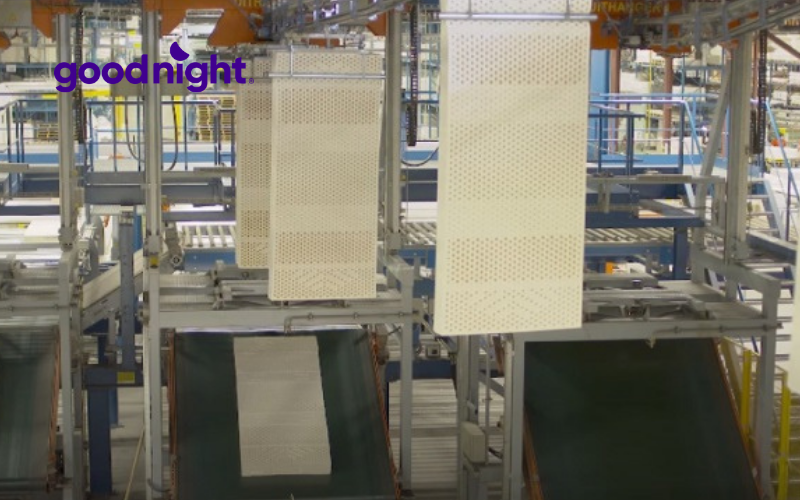 Khám phá quy trình sản xuất nệm cao su chất lượng cao 6 Sản xuất nệm theo phương pháp Talalay