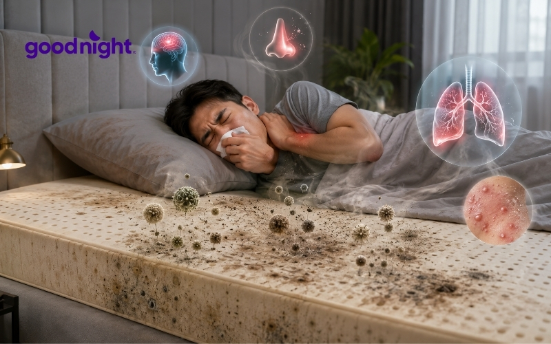 6 cách vệ sinh nệm cao su tại nhà sách như hồi mới mua 2 Tác hại của nệm cao su bẩn đối với sức khỏe