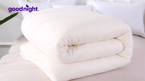 Chăn bông loại nào tốt? Hướng dẫn chọn chăn bông nhẹ, ấm và bền nhất 2025
