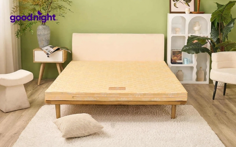 Giá đệm bông ép 1m2x1m9 (120×190) chi tiết, mới cập nhật 2 Kích thước 1m2x1m9 phù hợp cho mấy người nằm?