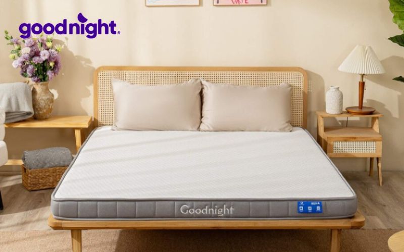 8 nguyên nhân khiến bạn nằm nệm bị đau lưng và cách khắc phục hiệu quả 8 Nệm Goodnight Latex Hybrid – Nệm ngủ không đau lưng