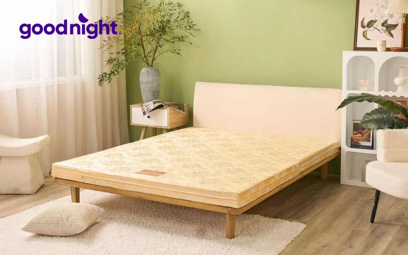8 nguyên nhân khiến bạn nằm nệm bị đau lưng và cách khắc phục hiệu quả 10 Nệm bông ép Wonjun Pure Carbon