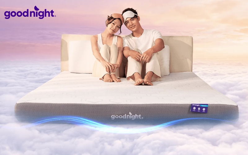Nằm nệm có tốt không? Cách chọn nệm đúng chuẩn cho cột sống 4 Goodnight Massage 2.0 (Hachi)