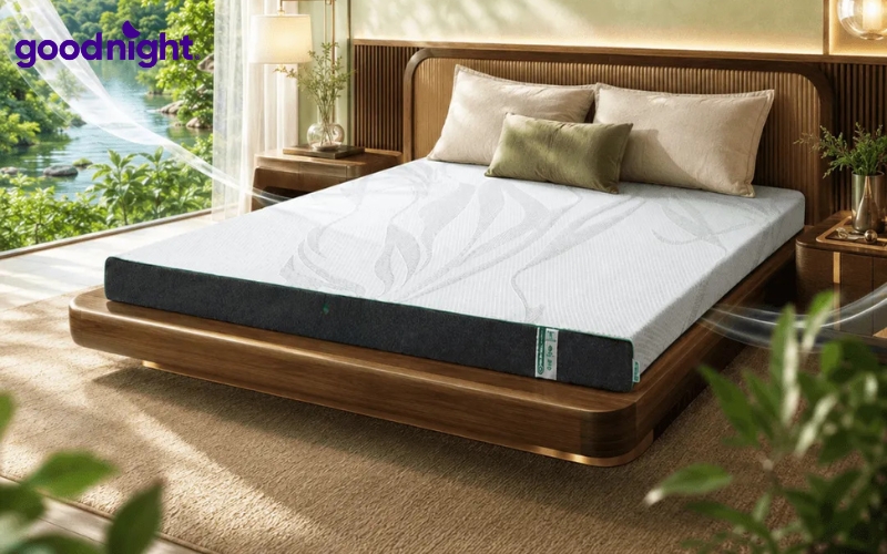 Nằm nệm có tốt không? Cách chọn nệm đúng chuẩn cho cột sống 6 Gummi Premium