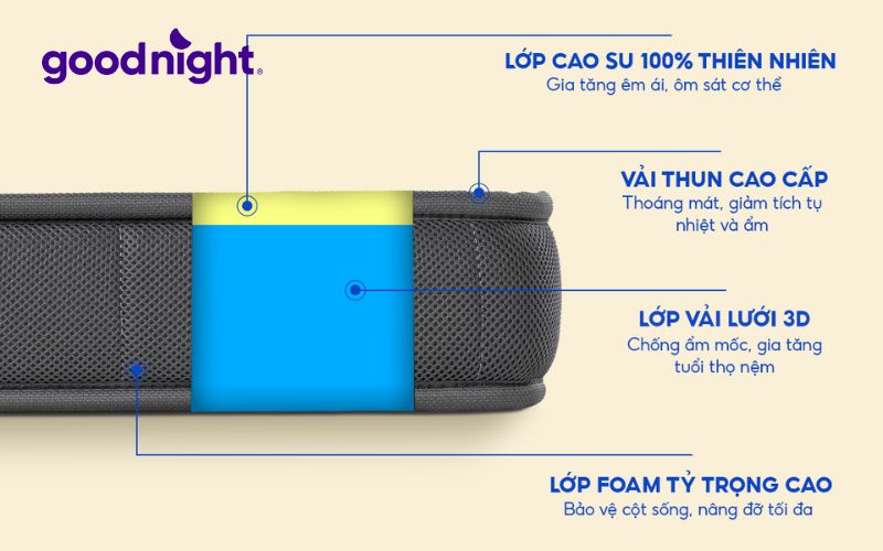 Cập nhật bảng giá nệm 1m6 x 2m chính hãng, giá tốt năm 2025 5 Nệm Goodnight Latex Hybrid (Rena) nâng đỡ tối ưu