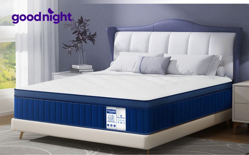 Tổng hợp bảng giá nệm 2m x 2m4 trên thị trường hiện nay 5 Nệm lò xo Cloudy