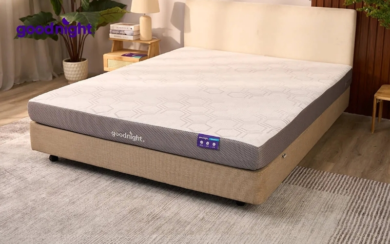 Top 5 mẫu nệm foam cho bé chất lượng, nâng đỡ tối ưu 8 Nệm foam Goodnight Hachi