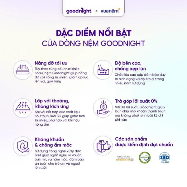 Nệm Foam Goodnight Massage 1.0