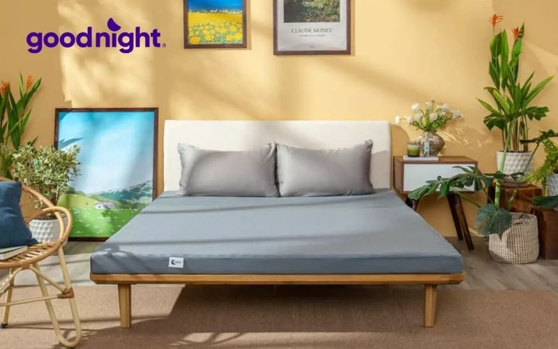 Top 10 mẫu nệm giá 3 triệu được ưa chuộng nhất 2 Nệm Goodnight Osaka