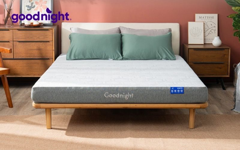 Top 10 mẫu nệm giá 3 triệu được ưa chuộng nhất 5 Nệm foam Goodnight Hachi