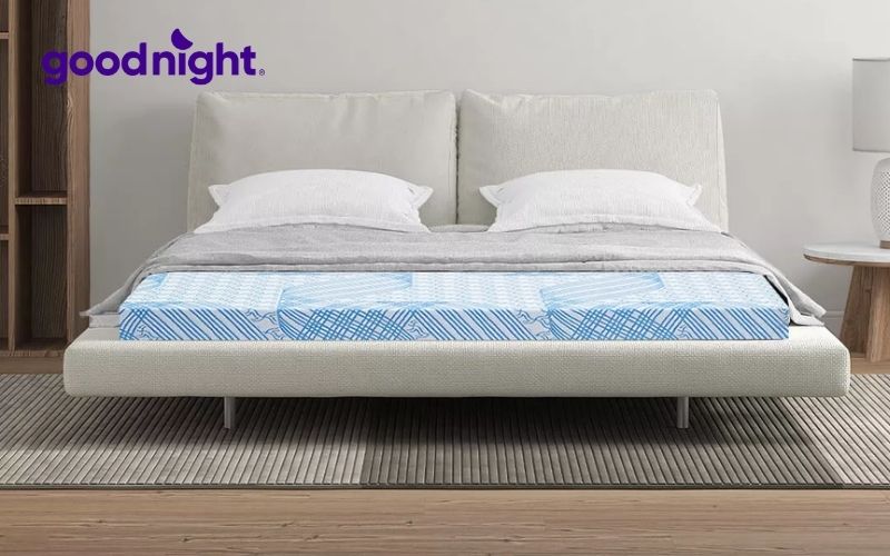 Top 10 mẫu nệm giá 3 triệu được ưa chuộng nhất 6 Nệm Kim Cương TITANIUM