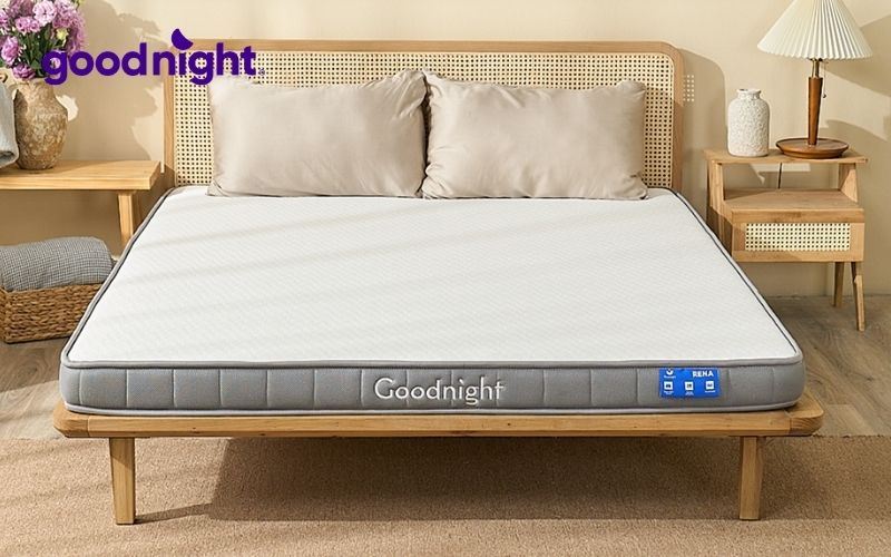 Top 10 mẫu nệm giá 3 triệu được ưa chuộng nhất 9 Nệm Latex Goodnight Rena