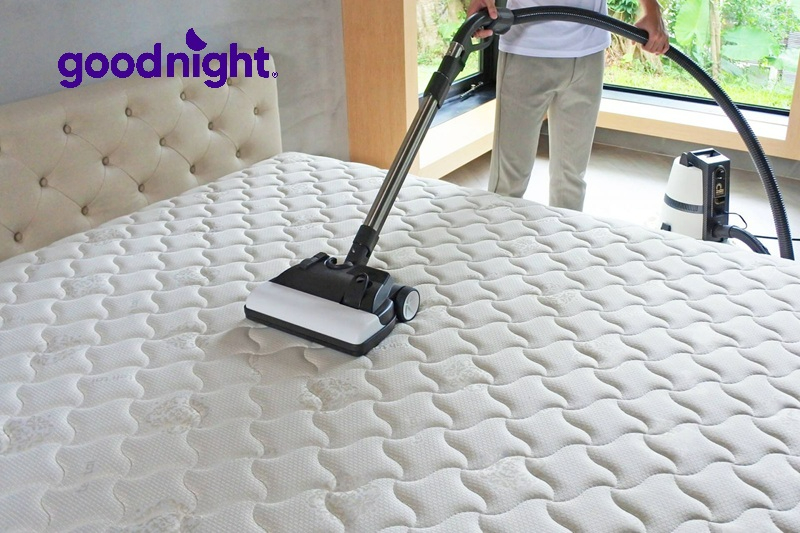 Cách xử lý nước tiểu trên nệm sạch mùi, hết ố vàng hiệu quả 9 Hướng dẫn vệ sinh an toàn cho từng chất liệu nệm