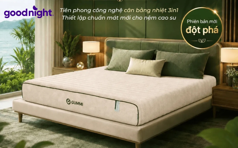 TOP 15 các cửa hàng nệm nổi tiếng, uy tín, chất lượng 4 Gummi
