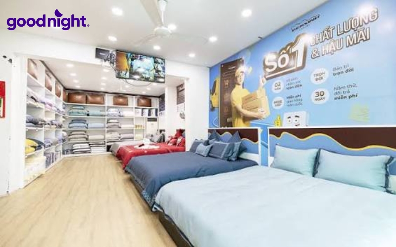 TOP 15 các cửa hàng nệm nổi tiếng, uy tín, chất lượng 10 Dreamland
