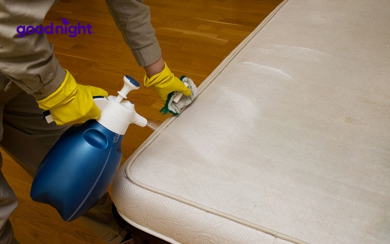 Hướng dẫn cách giặt nệm tại nhà sạch khuẩn và không hỏng nệm 2 giat nem 1
