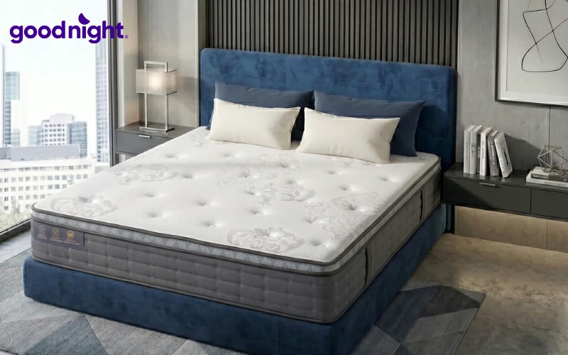 Nằm nệm bị đau lưng: Nguyên nhân, cách khắc phục, cách chọn nệm 12 Amando Elite Plus
