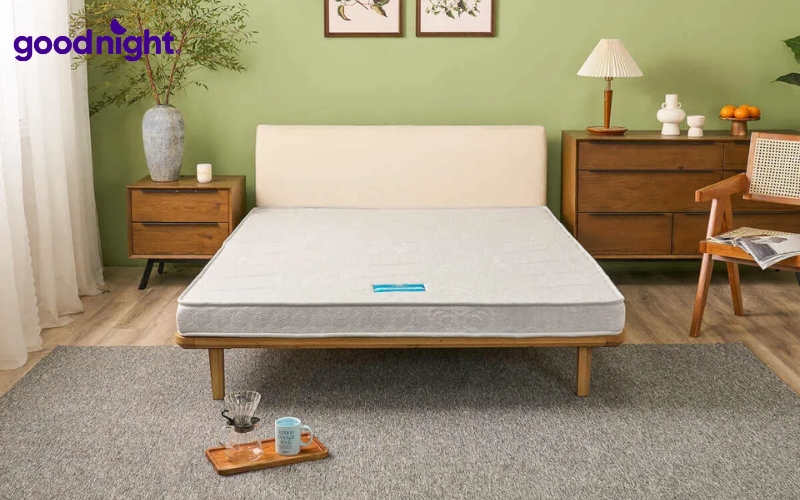Nằm nệm bị đau lưng: Nguyên nhân, cách khắc phục, cách chọn nệm 10 Với độ cứng vừa phải, nệm bông ép giúp duy trì đường cong tự nhiên của cột sống
