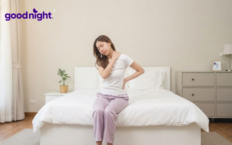 Nằm nệm bị đau lưng: Nguyên nhân, cách khắc phục, cách chọn nệm 2 Mỗi loại nệm (cao su, foam, lò xo…) có đặc tính khác nhau, và nếu không phù hợp với cấu trúc cơ thể, có thể gây đau lưng