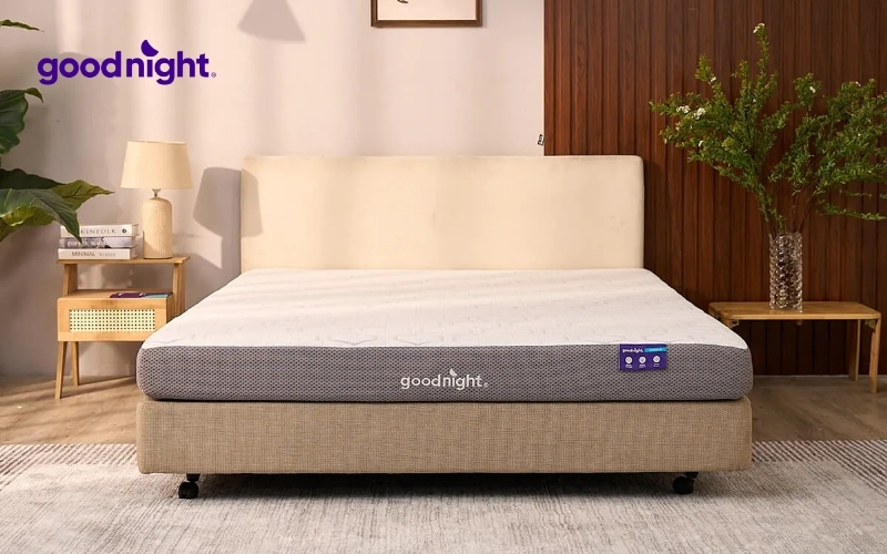 5 Nguyên nhân nằm nệm foam bị đau lưng? Cách khắc phục? 8 Nệm foam Goodnight Massage 2.0