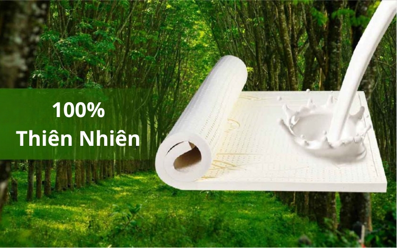 Có nên chọn nệm cao su cho bé? Kinh nghiệm chọn nệm an toàn 3 Nệm cao su thiên nhiên