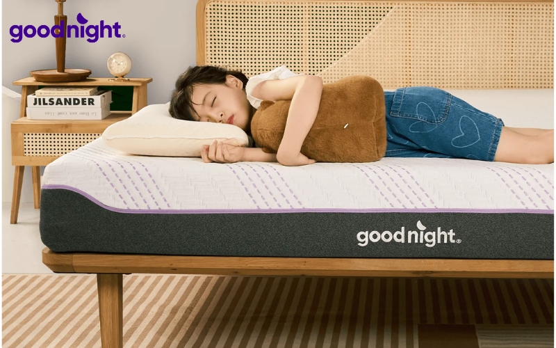 TOP 7 mẫu nệm giá rẻ dưới 200K, 300K, 500k, dưới 1 triệu đồng 9 Goodnight hỗ trợ trả góp 0% lãi suất