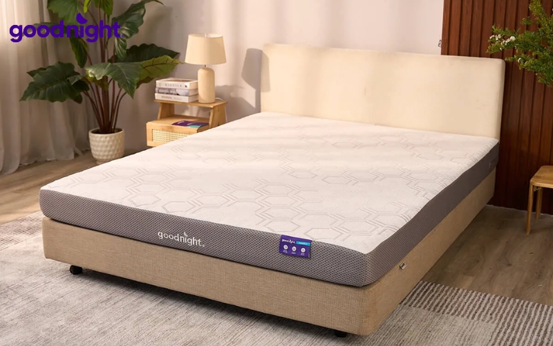 Nệm PU Foam: Tìm hiểu cấu tạo, ưu điểm, nhược điểm 11 Goodnight là lựa chọn đáng tham khảo nếu bạn đang tìm mua nệm PU Foam