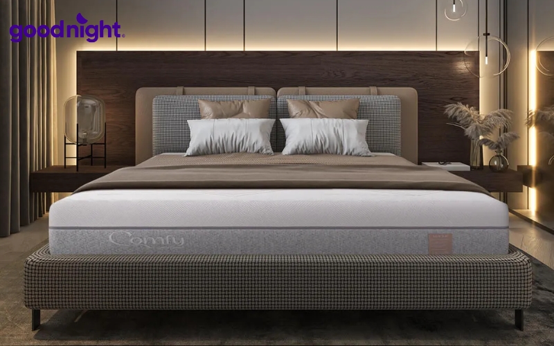 Nệm PU Foam: Tìm hiểu cấu tạo, ưu điểm, nhược điểm 8 Comfy Lux 3.0