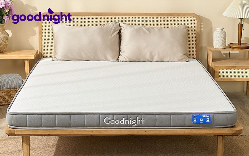 1 ngày ngủ 2 tiếng có sao không? Hậu quả của việc thiếu ngủ mà bạn cần biết 5 Goodnight chuyên cung cấp các sản phẩm chăm sóc giấc ngủ chất lượng